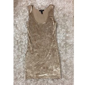Velvet Nude fitted Dress
